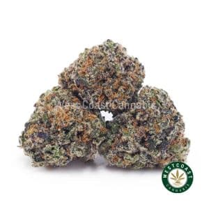 Buy Jungle Mintz AAAA (Popcorn Nugs) wc cannabis weed dispensary & online pot shop