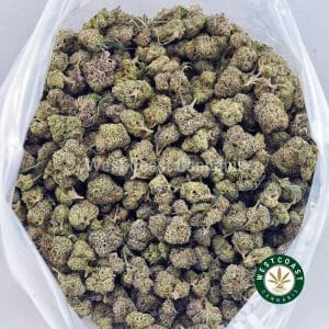 Buy Pineapple Gelato AAAA (Popcorn Nugs) wc cannabis weed dispensary & online pot shop Buy Pineapple Gelato AAAA (Popcorn Nugs) wc cannabis weed dispensary & online pot shop