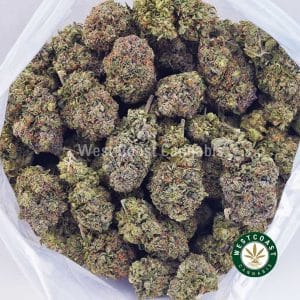 Buy Pink Kush AAAA wc cannabis weed dispensary & online pot shop Buy Pink Kush AAAA wc cannabis weed dispensary & online pot shop