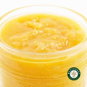 X991A3 MASTERPINK CAVIAR WCCANNABIS Buy Caviar - Master Pink (Indica) at Wccannabis Online Shop