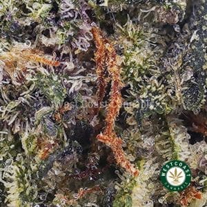 Buy Gorilla Breath AAAA (Popcorn Nugs) wc cannabis weed dispensary & online pot shop