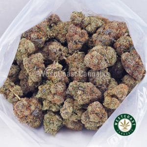 Buy Grease Monkey AA wc cannabis weed dispensary & online pot shop Buy Grease Monkey AA wc cannabis weed dispensary & online pot shop