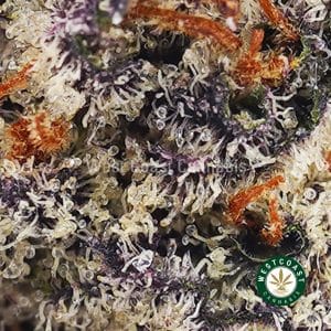 Buy Huckleberry Soda AAAA wc cannabis weed dispensary & online pot shop