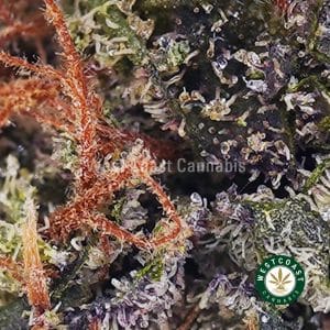 Buy Incredible Hulk AAA wc cannabis weed dispensary & online pot shop