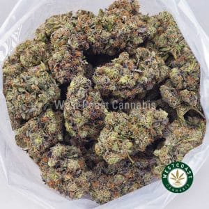 Buy Pink Bubba AAAA wc cannabis weed dispensary & online pot shop Buy Pink Bubba AAAA wc cannabis weed dispensary & online pot shop