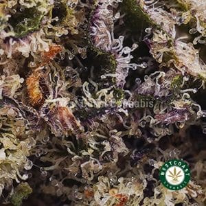 Buy Purple Haze AAAA (Popcorn Nugs) wc cannabis weed dispensary & online pot shop