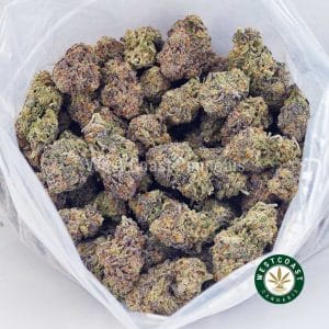 Buy Purple Kush AAAA wc cannabis weed dispensary & online pot shop