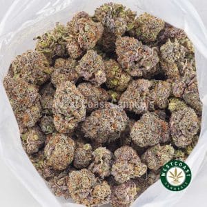 Buy Super Glue AAAA wc cannabis weed dispensary & online pot shop