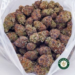 Buy Watermelon Gelato AAAA wc cannabis weed dispensary & online pot shop Buy Watermelon Gelato AAAA wc cannabis weed dispensary & online pot shop