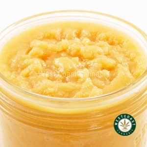 Buy Premium Concentrate - Mike Tyson Caviar at Wccannabis Online Shop