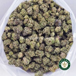 24k Gold AAAA (Popcorn Nugs) 3 24k Gold AAAA (Popcorn Nugs) 3