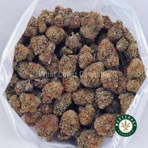 Buy Blueberry Stomper AAAA wc cannabis weed dispensary & online pot shop Buy Blueberry Stomper AAAA wc cannabis weed dispensary & online pot shop