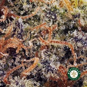 Buy Cake Mintz AAAA wc cannabis weed dispensary & online pot shop