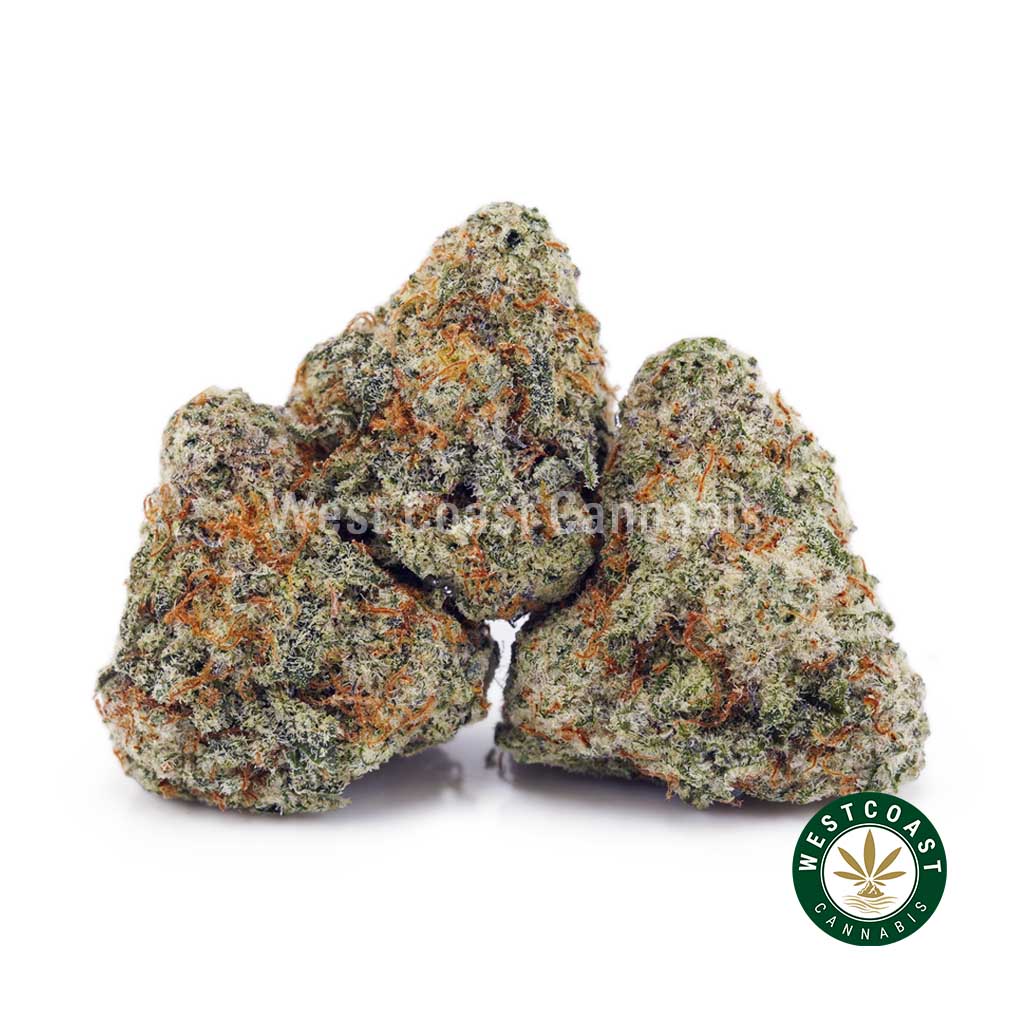 Buy Cereal Killer AAAA (Popcorn Nugs) wc cannabis weed dispensary & online pot shop Buy Cereal Killer AAAA (Popcorn Nugs) wc cannabis weed dispensary & online pot shop