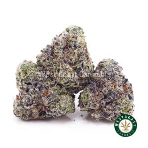 Buy Cinderella 99 AAAA (Popcorn Nugs) wc cannabis weed dispensary & online pot shop