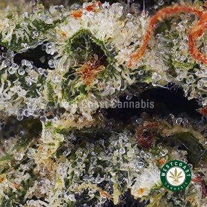 Buy Death Bubba AAAA wc cannabis weed dispensary & online pot shop