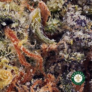 Buy Fire OG AAA wc cannabis weed dispensary & online pot shop