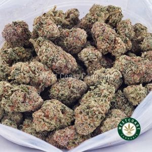 Buy Forum Cut Cookies AAA wc cannabis weed dispensary & online pot shop Buy Forum Cut Cookies AAA wc cannabis weed dispensary & online pot shop