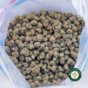 Buy Frosted Donuts AAAA (Popcorn Nugs) wc cannabis weed dispensary & online pot shop Buy Frosted Donuts AAAA (Popcorn Nugs) wc cannabis weed dispensary & online pot shop