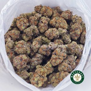 Buy GMO Cookies AAAA wc cannabis weed dispensary & online pot shop Buy GMO Cookies AAAA wc cannabis weed dispensary & online pot shop