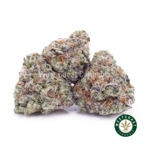 Buy Gelato Cake AAAA (Popcorn Nugs) wc cannabis weed dispensary & online pot shop