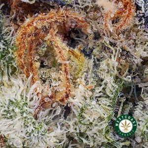 Buy Gelato Cake AAAA (Popcorn Nugs) wc cannabis weed dispensary & online pot shop