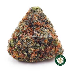 Buy Gouda Berry AAA wc cannabis weed dispensary & online pot shop