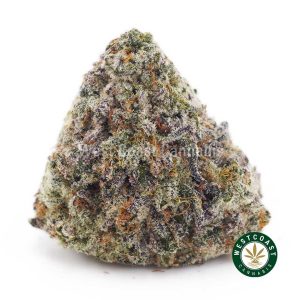 Buy Khalifa Kush AAA wc cannabis weed dispensary & online pot shop