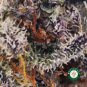 Buy Khalifa Kush AAA wc cannabis weed dispensary & online pot shop