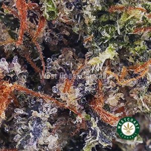 Buy Kush Berry AAAA wc cannabis weed dispensary & online pot shop