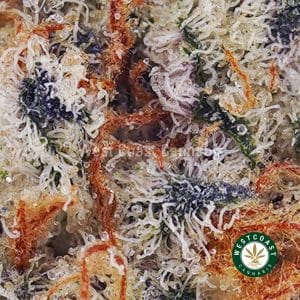 Buy Lemon Haze AAAA (Popcorn Nugs) wc cannabis weed dispensary & online pot shop