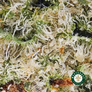 Buy Melonade AAAA (Popcorn Nugs) wc cannabis weed dispensary & online pot shop