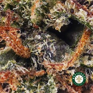 Buy Peanut Butter Cookies AAA wc cannabis weed dispensary & online pot shop