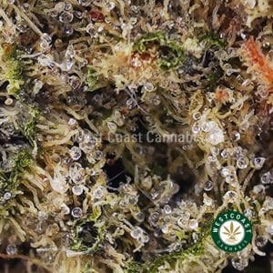 Buy Pineapple Haze AAA wc cannabis weed dispensary & online pot shop
