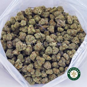 Buy Platinum Biscotti AAAA (Popcorn Nugs) wc cannabis weed dispensary & online pot shop Buy Platinum Biscotti AAAA (Popcorn Nugs) wc cannabis weed dispensary & online pot shop