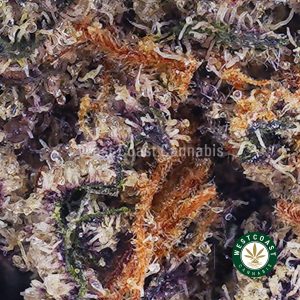 Buy Purple Rose AAAA (Popcorn Nugs) wc cannabis weed dispensary & online pot shop