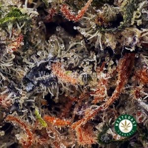 Buy Scooby Snacks AAA wc cannabis weed dispensary & online pot shop