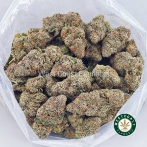 Buy Stargazer OG AAA wc cannabis weed dispensary & online pot shop