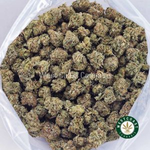 Strawberry Gelato AAAA (Popcorn Nugs) 2