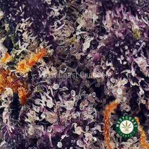 Buy Sunset Sherbet AAAA (Popcorn Nugs) wc cannabis weed dispensary & online pot shop