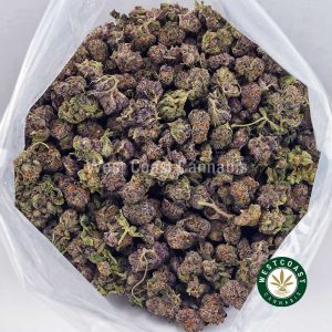 SunseBuy Sunset Sherbet AAAA (Popcorn Nugs) wc cannabis weed dispensary & online pot shopt Sherbet AAAA (Popcorn Nugs) 4 Buy Sunset Sherbet AAAA (Popcorn Nugs) wc cannabis weed dispensary & online pot shop