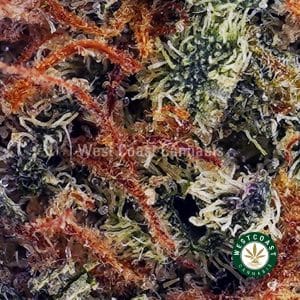 Buy Super Boof AAA wc cannabis weed dispensary & online pot shop