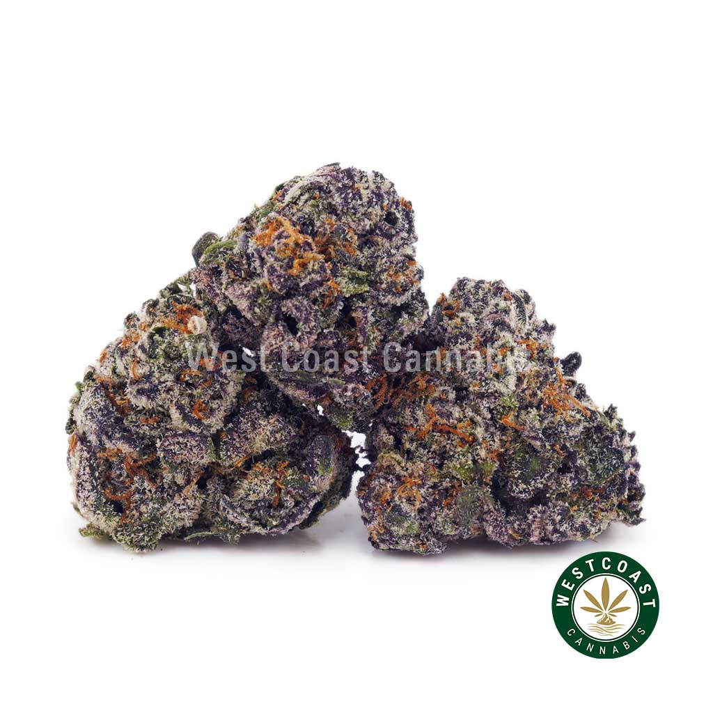 White Cherry Truffle AAAA 1 White Cherry Truffle AAAA 1