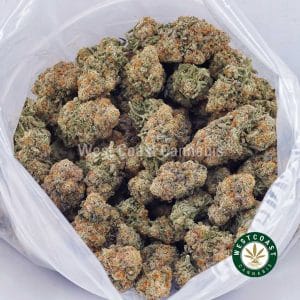 Buy White Russian Cream AAAA wc cannabis weed dispensary & online pot shop