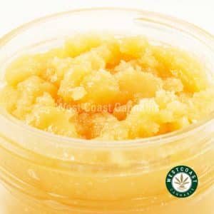 Buy Caviar - Critical Kush (Indica) at Wccannabis Online Shop