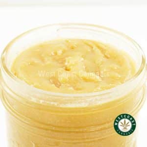 Y198A3 MIMOSA CAVIAR WCCANNABIS Buy Caviar - Mimosa (Sativa) at Wccannabis Online Shop