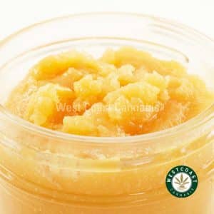 Y198A3 TRUFFLECAKE CAVIAR WCCANNABIS Buy Caviar - Truffle Cake (Sativa) at Wccannabis Online Shop