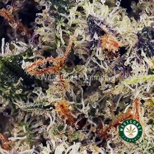 Buy Ghost OG AAA wc cannabis weed dispensary & online pot shop