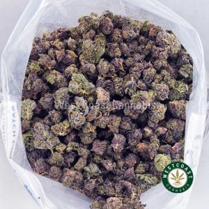 Buy Purple Runtz AAAA (Popcorn Nugs) wc cannabis weed dispensary & online pot shop Buy Purple Runtz AAAA (Popcorn Nugs) wc cannabis weed dispensary & online pot shop