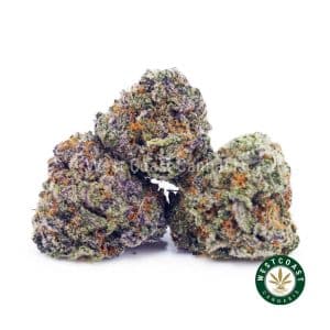 Buy Granddaddy Purple AAAA (Popcorn Nugs) wc cannabis weed dispensary & online pot shop